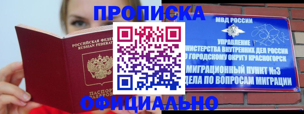 временная регистрация для школы в Петропавловске-Камчатском